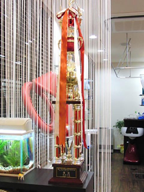 第４７回新潟県理容競技大会　ロットワインディング 優勝　理事長賞